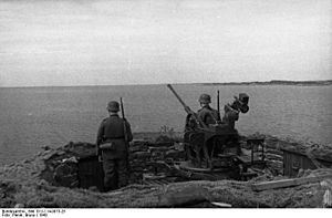 Bundesarchiv Bild 101I-114-0073-25, Nordeuropa, leichte Flak in Stellung