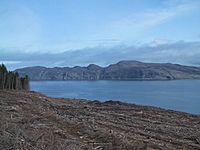 Clear Felling at Bloody Bay - geograph.org.uk - 971825