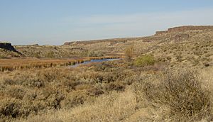 Crab-Creek-Drumheller