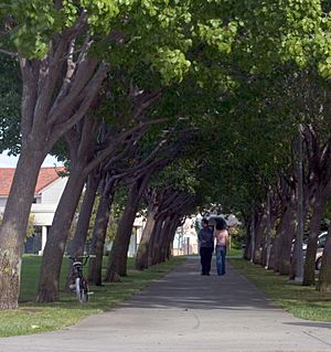 Cupertino-memorial park