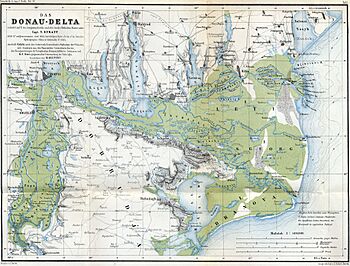 Danube mouths 1867