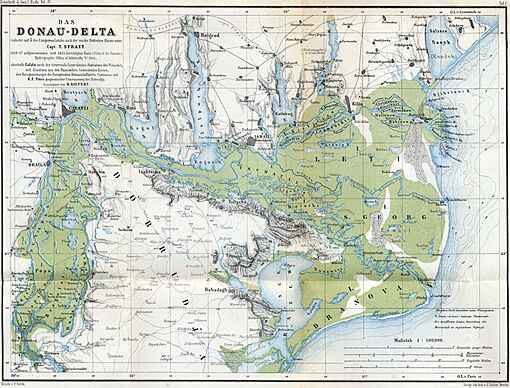 Danube mouths 1867