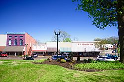 Businesses along Wilson Street