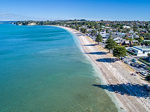 Eastern Beach Aerial Photo