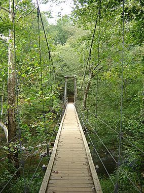 Eno Park Footbridge.jpg