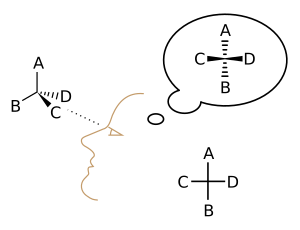 Fischer Projection2