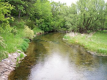 Fish Hook River.jpg