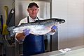 Fishmonger in ICA Fish stall holding a salmon