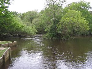 Flooded view upstream from Bolderford Bridge, New Forest - geograph.org.uk - 172553.jpg