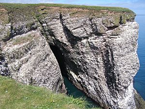 Fowlsheughclifftonorthsea