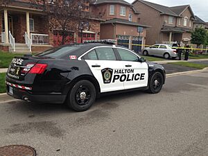 Halton Regional Police Car