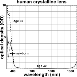 Human crystalline lens OD