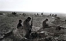 Israeli troops in sinai war