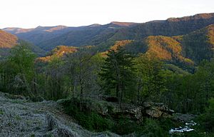 Kentucky Side of Black Mountain (4535376460)