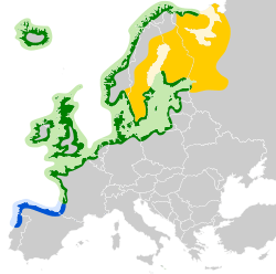 Larus argentatus map.svg