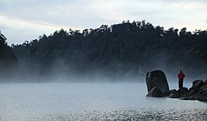 New Zealand, Great Walk Lake Waikaremoana (7)