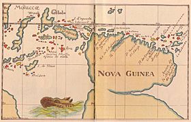 NovaGuinea1600map