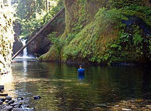 Punchbowlfalls