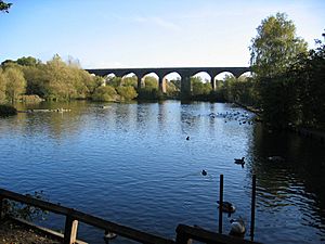 Reddish Vale viaduct