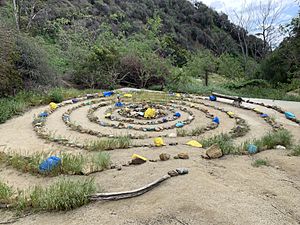 Runyon Canyon Rock Mandala