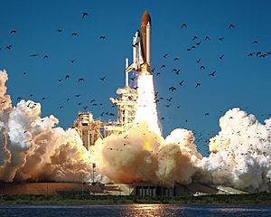 STS-51-L.jpg