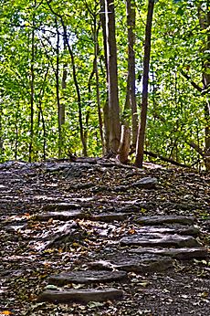 Sentier au parc Summit