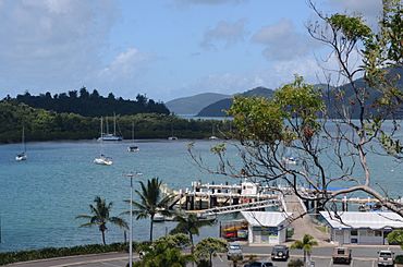 Shute Harbour.jpeg