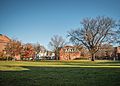 Smith College Campus view