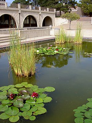 Storke Plaza Pond