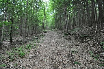 TTOR PetticoatHillReservationTrail.jpg