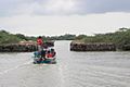 Tourist in pulicat lake