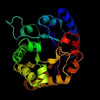 Triosephosphate isomerase