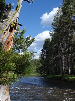 Upper little truckee river