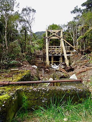 Waitawheta Sawmill