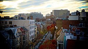 Willard Street looking west