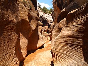 Willis Creek