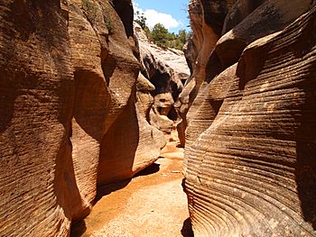 Willis Creek.JPG