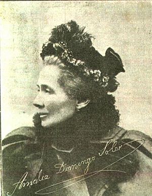 Amalia Domingo Soler