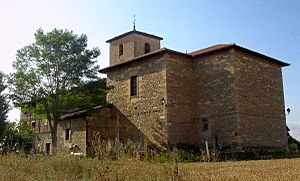 Amarita gasteiz