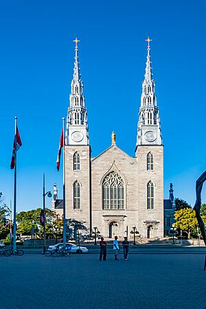 Basilica Notre-Dame Cathedral Ottawa (41114209682).jpg