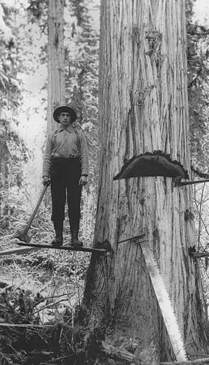 Bob Balmer Falling Upper Adams