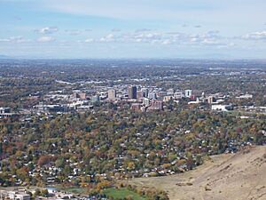 Boise aerial 2007