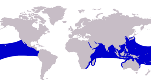 Caranx sexfasciatus distribution.png