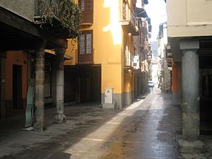 Carrer dels Canonges (5)