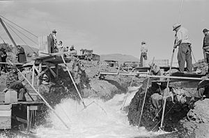 Celilo Falls Lee