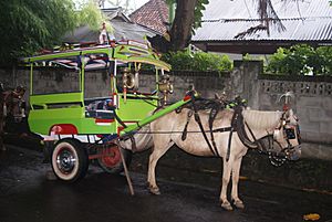 Cidomo Senggigi