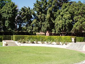 East lawn - William Andrews Clark Memorial Library