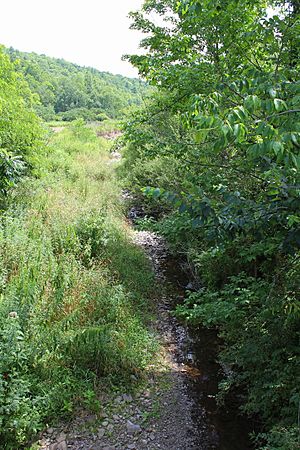 Field Brook looking downstream