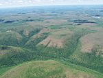 Gypsy Moth Defoliation Snow Shoe PA