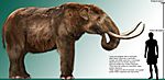 High res mastodon rendering